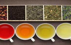 تعرف على أفضل أنواع الشاي للتخلص من سموم الجسم
