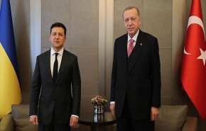 دیدار رؤسای جمهور ترکیه و اوکراین در استانبول