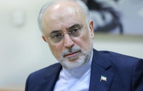 واکنش رییس سازمان انرژی اتمی به حادثه در نطنز/ صالحی خواستار برخورد جامعه جهانی با "تروریسم هسته ای" شد