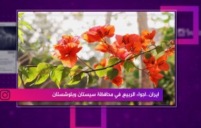 ايران.. اجواء اربيع في محافظة سيستان وبلوشستان
