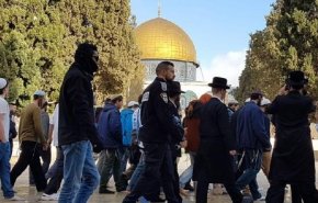 المستوطنون يحشدون لاقتحام الأقصى رغم اعلان الاحتلال منعهم دخول الأقصى