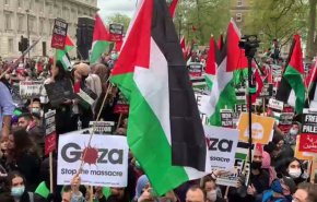 بالفيديو..مظاهرات حاشدة في لندن تضامنا مع الشعب الفلسطيني