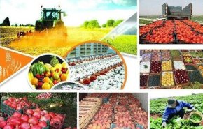 تصدير منتجات زراعية بقيمة 6 مليارات دولار العام الماضي