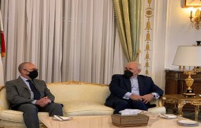 ظريف يجري مشاورات مع رئيس لجنة السياسة الخارجية بمجلس الشيوخ الإيطالي