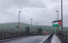 البرلمان الايرلندي يصوت لصالح إدانة التهجير القسري للفلسطينيين