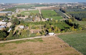 وزارة الزراعة في غزة تحذر من كارثة بيئية شمال القطاع