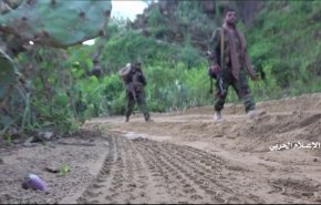 بالفيديو: مشاهد نوعية من العملية الواسعة للجيش اليمني واللجان الشعبية في جيزان