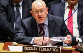 مندوب روسيا: الوضع الراهن بإدلب يناسب زملاءنا بمجلس الأمن!