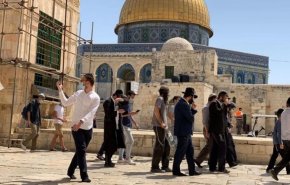 117 مستوطنًا يقتحمون باحات المسجد الأقصى

