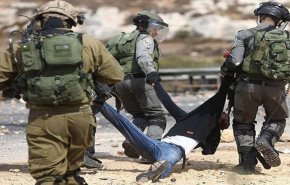 رياض منصور يدعو لتحميل الاحتلال المسؤولية عن جرائمه بحق الشعب الفلسطيني