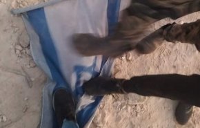 فلسطينيون ينزلون العلم الإسرائيلي عن مستوطنة 'إيفتار'