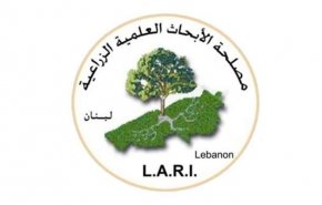 تحذيرات من ارتفاع مؤشر الحرائق في جميع مناطق لبنان