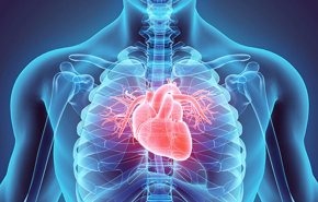 مخاطر الاصابة بامراض القلب وعلاقته بالاطعمة