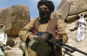 طالبان: ۱۹۴ شهرستان افغانستان را در کنترل داریم