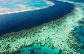 شاهد.. اليونسكو توصي بوضع الحيد المرجاني العظيم على لائحة الخطر