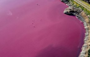 بالصور.. بحيرة في الأرجنتين يتحول لونها إلى الوردي