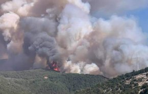 حريق القبيات الهرمل  شمال لبنان ما زال مستعرا وعمليات الاطفاء مستمرة