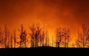 الرئاسة التركية: حرائق الغابات كارثة وطنية
