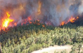 جماعة كردية تعلن مسؤوليتها عن حرائق الغابات في تركيا