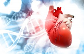 دراسة تحدد بصمات الحمض النووي المرتبطة بأمراض القلب