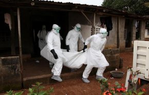 غينيا تسجل أول وفاة بفيروس ماربورغ الفتاك بغرب أفريقيا
