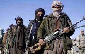 الحكومة الأفغانية تعتقل حاكم غزني عقب سقوط الولاية في قبضة 