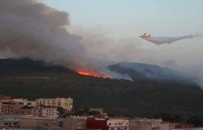 المغرب.. انحسار حرائق الغابات في ولاية شفشاون
