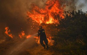 شاهد.. اندلاع حرائق غابات جديدة في اليونان