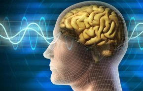 کشف توانایی مغز در پیش‌بینی آینده
