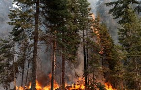 بايدن يعلن حالة الطوارئ في كاليفورنيا بسبب الحرائق