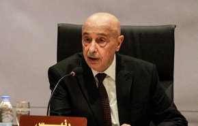 رئيس البرلمان الليبي: الانتخابات الحل الوحيد لحل الازمة