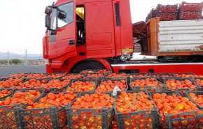 العراق يبدأ باستيراد الطماطم من ايران عبر منفذ الشلامجة