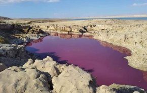 وزارة المياه في الأردن تعلق على قضية  بركة حمراء في منطقة الأغوار 