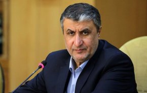 ايران تطلب من الوكالة الالتزام بالقانون وتجنب التمييز والتسييس