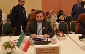 آمادگی ایران برای به اشتراک گذاشتن تجارب مقابله با تحریم‌های یکجانبه به اعضای دی-هشت
