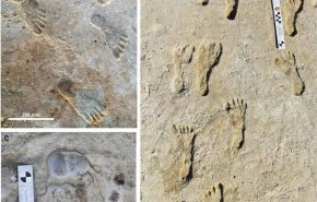 اكتشاف آثار أقدام عمرها 23ألف عام قد تكون الاقدم بالامريكتين
