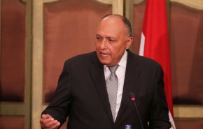 وزير الخارجية المصري يطالب بخروج القوات الأجنبية والمرتزقة من ليبيا