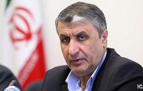 اسلامی: توافقات ایران با آژانس با تایید مراجع ذیصلاح انجام می شود