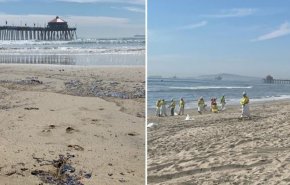 كارثة بيئية تضرب شواطئ جنوب كاليفورنيا