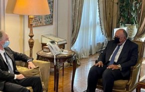 وزير الخارجية المصري يبحث مع بيدرسون الاوضاع في سوريا 

