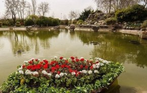 شاهد مدينة اصفهان الايرانية أحد اقطاب انتاج الزهور الخريفية