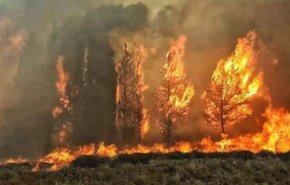 تجدد إشتعال النيران في عدد من المناطق في جنوب لبنان