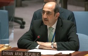 صباغ يؤكد ضرورة ضمان عدم وصول الأسلحة إلى الارهابيين في سوريا