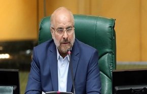 رئيس البرلمان الايراني يدعو للعمل بقوة في تطوير مراكز الأبحاث النووية