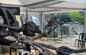 الكشف عن أكبر وأكمل هيكل عظمي للديناصورات في إيطاليا