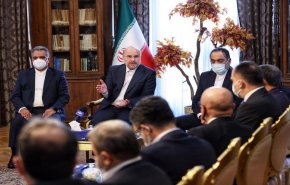 رئيس البرلمان الايراني: أولويتنا تطوير العلاقات مع الجوار