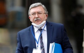 اوليانوف يعلن عن تحقيق تقدم في مفاوضات فيينا