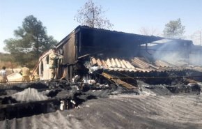 آتش‌سوزی و انفجار مرگبار در بازار گل محلاتی