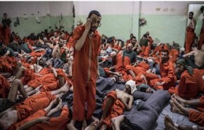 حضور 10 هزار داعشی از 50 کشور در زندان‌ الحسکه