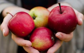 ماذا يحدث لجسمك عند تناول تفاحتين يوميا؟